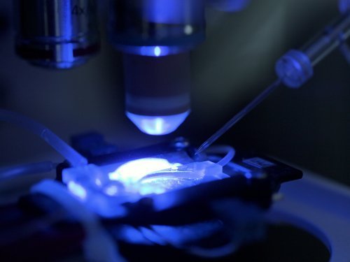 2024_uhasselt_-_biomed-1.jpg