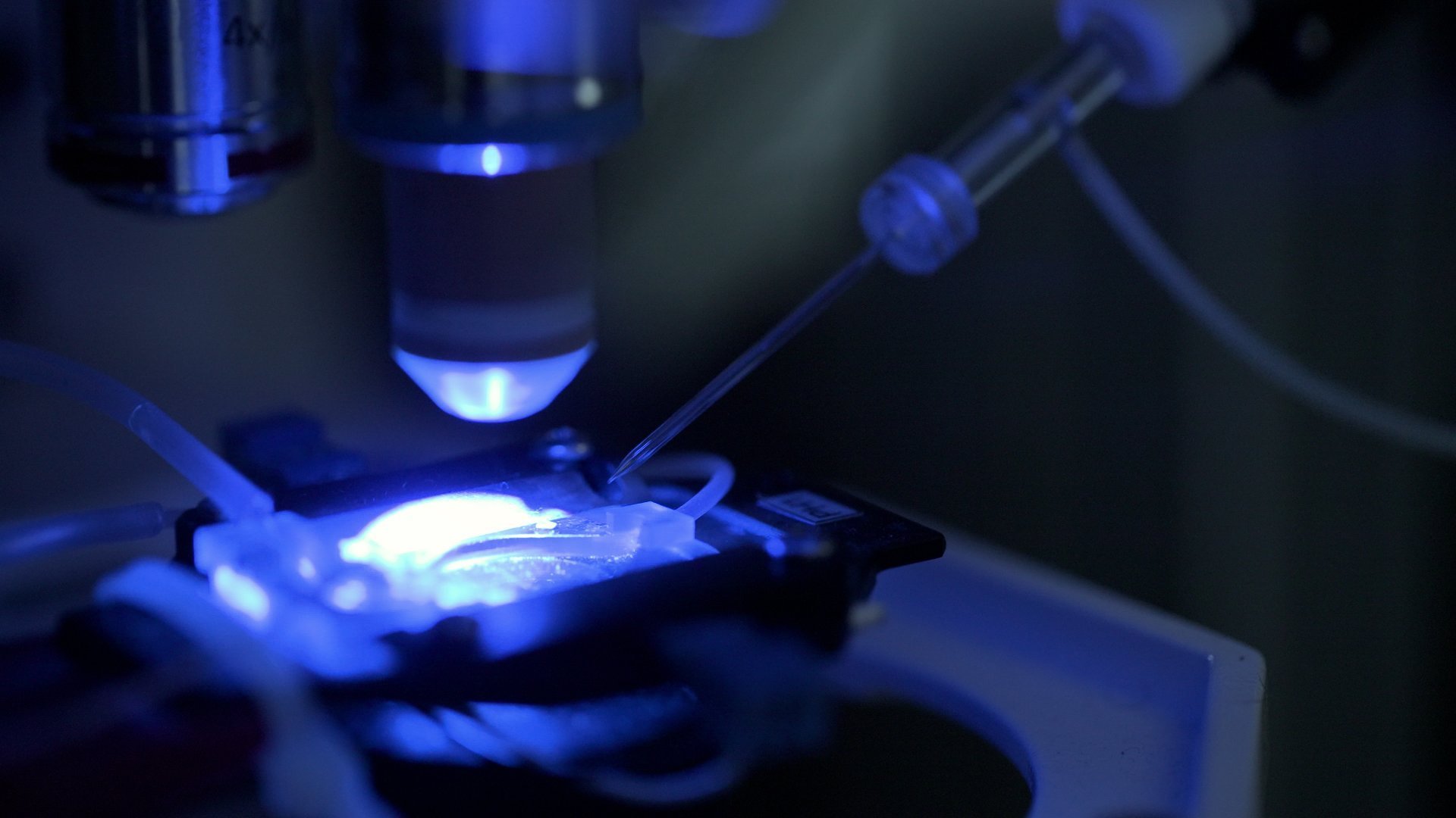 Het Beweegt brengt de mensen, technologie en expertise van BIOMED samen in een heldere video voor internationaal publiek.